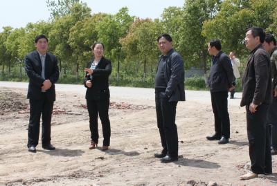 万玲玲专题调研城乡建设工作