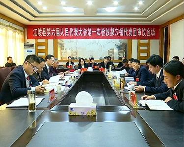 刘勇参加郝穴镇代表团审议