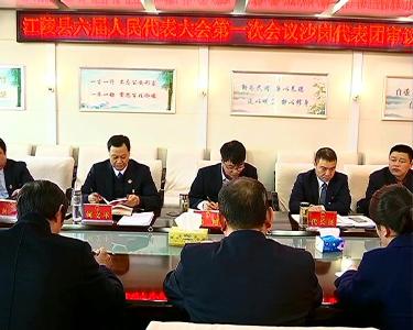 韩旭参加郝穴镇、沙岗镇代表团审议