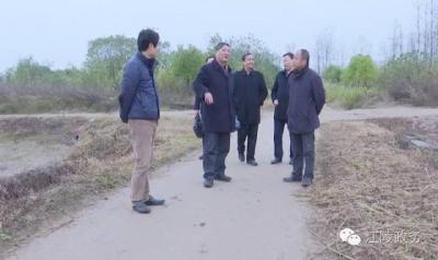 雷中喜调研江陵蓝星岛旅游开发建设