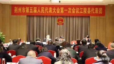 聚焦荆州“两会”│ 江陵代表团分组审议市政府工作报告