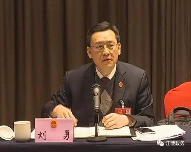 聚焦荆州“两会”|  江陵代表团继续开展分组审议 