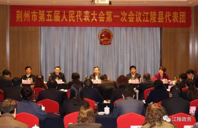 聚焦荆州“两会”|  李新华参加江陵代表团审议