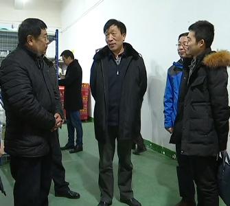 省食药监局副局长傅建伟督查江陵食品药品安全工作