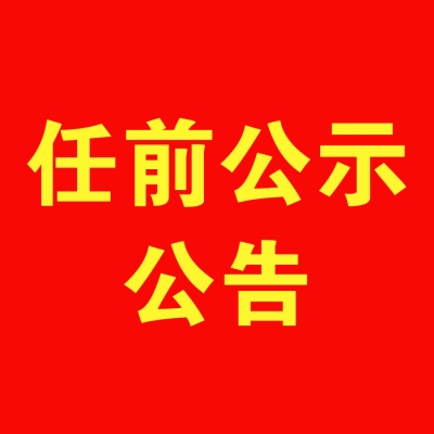 关于对应军等同志进行任前公示的公告