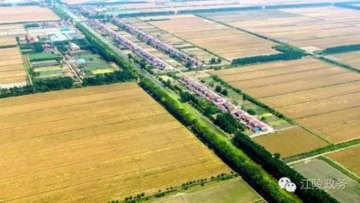 重点关注｜今年江陵农业农村及扶贫开发工作要抓哪些重点，戳这里！