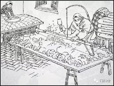 弹新絮  过新春