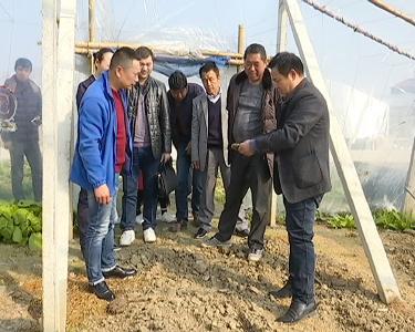 精准扶贫找新路 │江陵县国土资源局驻村工作组带领村民考察“盈天模式”