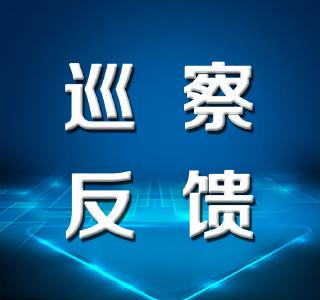 江陵县委第一巡察组向县发展和改革局反馈巡察情况