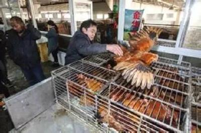 资市镇开展活禽市场整顿回头看行动