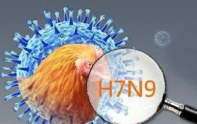 今年湖北确诊H7N9流感病例22例 省卫计委:均及时处置