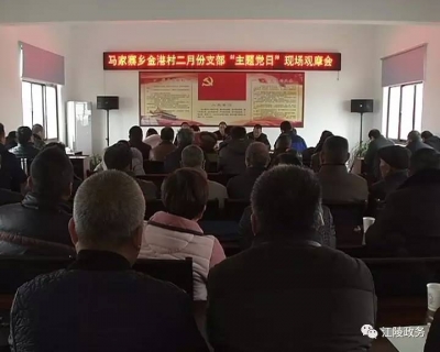资市郝穴马家寨开展“主题党日”活动