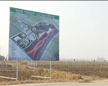 张华：建设蓝莓采摘园 组建蓝莓之恋生态农庄