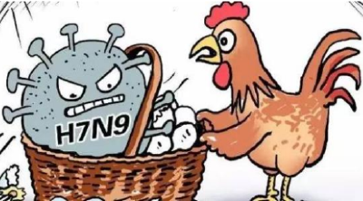 江陵县开展H7N9流感疫情防控行动