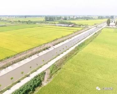 村点出新  沿线出景  扎实推进美丽乡村建设