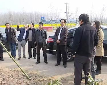 省林业厅调研江陵县造林绿化工作