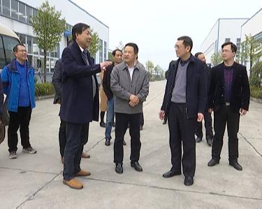 蒋鸿调研江陵县工业经济工作