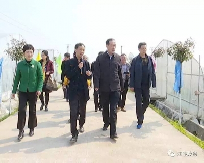 安徽省安庆市政协来江陵考察脱贫攻坚工作