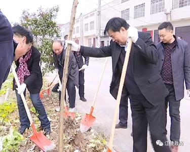 省文化厅领导来江陵参加义务植树活动