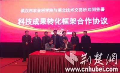 湖北启动“科惠行动” 力促科技成果转化