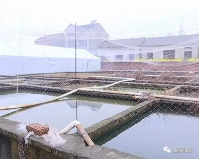 精准扶贫看江陵 | 普济镇东李村：强化村级党组织建设  扎实开展产业帮扶