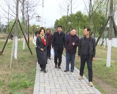江陵县人大常委会调研城市管理综合执法工作