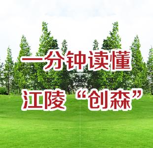 一分钟读懂江陵“创森”