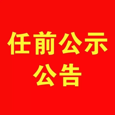 关于对吴斌等同志进行任前公示的公告
