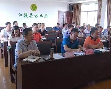 江陵县林业局开展5月份主题党日暨党风廉政教育活动