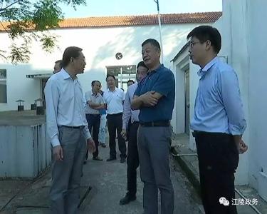 王守卫检查督办江陵中央环保督察反馈意见整改情况