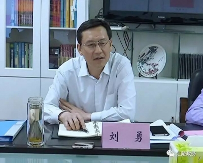 如何做好新形势下宣传思想文化大部制改革工作  刘勇这么说！