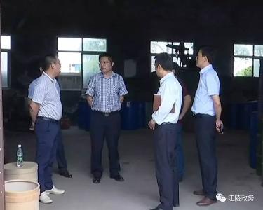 徐驰检查指导全县部分停产停工企业整改工作