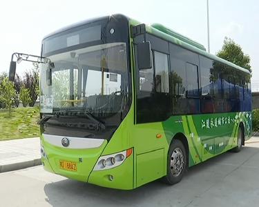 好消息！城区65岁以上老人可免费乘坐公交车啦