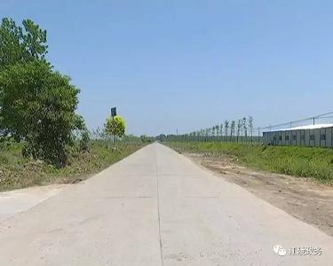 精准扶贫看江陵  | 资市镇青山村：因户施策拔穷根 夯实基础促产业
