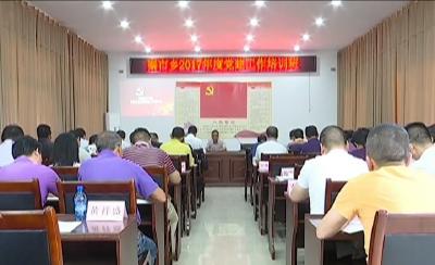 秦市乡召开2017年党建工作培训会