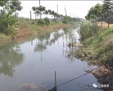 污水直排颜中渠   江陵县查处一家非法排污企业