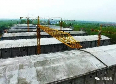 【在两区一中心建功，向党的十九大献礼】江陵引凤筑巢培育重点产业