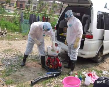 【身边的“工匠精神”】江陵县疾控中心疾控科：科学防控疾病 赤诚守护健康