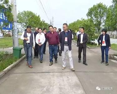 江陵县人大常委会视察美丽乡村建设情况
