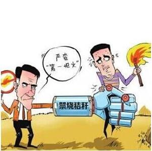  江陵县暂无露天焚烧秸秆现象