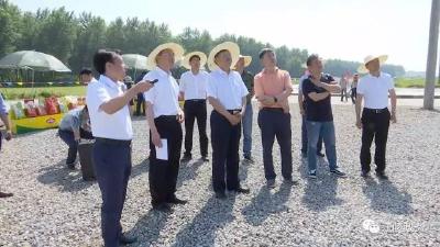 杨智点赞江陵农业供给侧结构性改革：有亮点、有特色、有成效