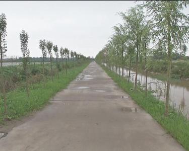 普济镇东李村：打造绿色示范乡村