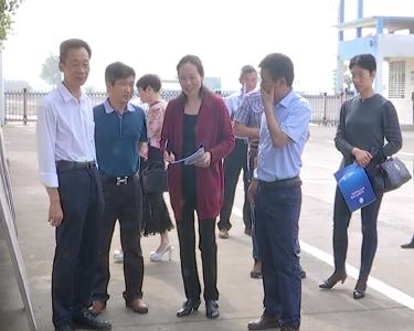江陵县政协视察教育教学质量与师德师风建设工作
