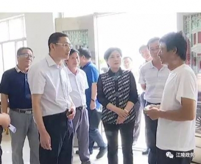 雷文洁调研江陵县普济镇星星村精准扶贫工作