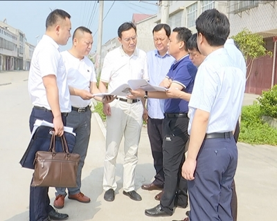 刘勇到沙岗镇调研