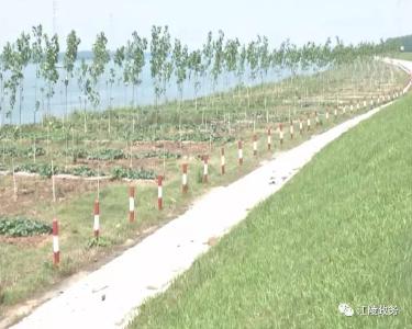 江陵对中央环保督察反馈问题整改进展顺利