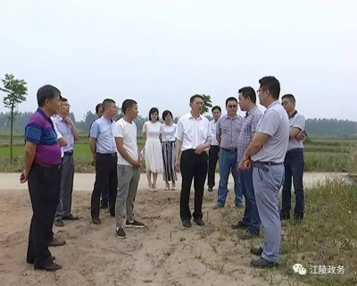刘勇：确保中央环保督察反馈问题整改到位