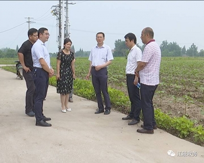 刘勇到秦市乡调研