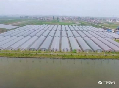江陵：因村施策 精准脱贫