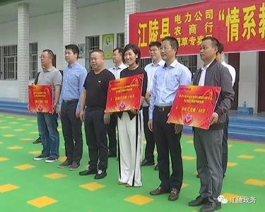江陵县举行“情系教育 慈善关爱”活动